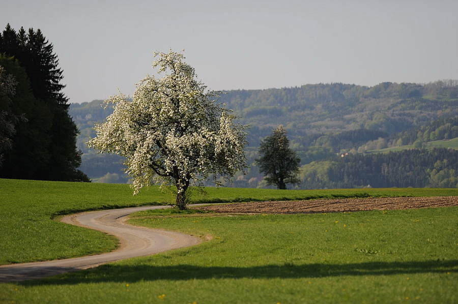 D03 7593