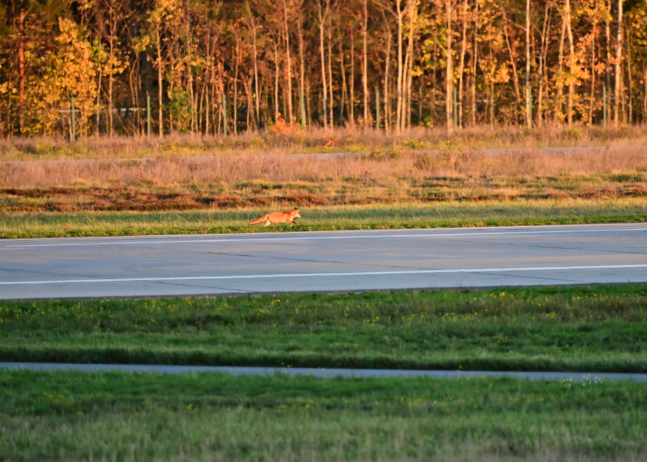 D06_3343.jpg