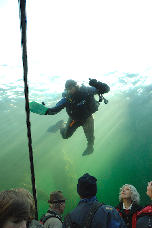 D2X 1735
· http://www.nikon-fotografie.de/vbulletin/showpost.php?p=1353102&postcount=38