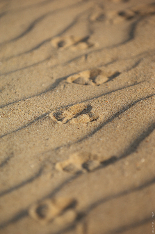 D2X 6709 1a

· http://www.nikon-fotografie.de/vbulletin/1510166-post692.html
http://www.nikon-fotografie.de/vbulletin/1605762-post83.html