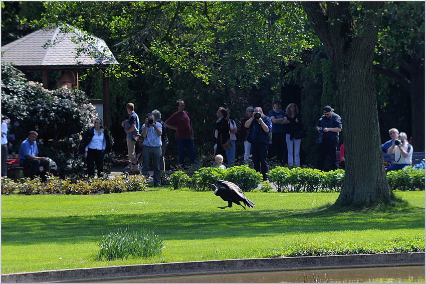 D30 0389f