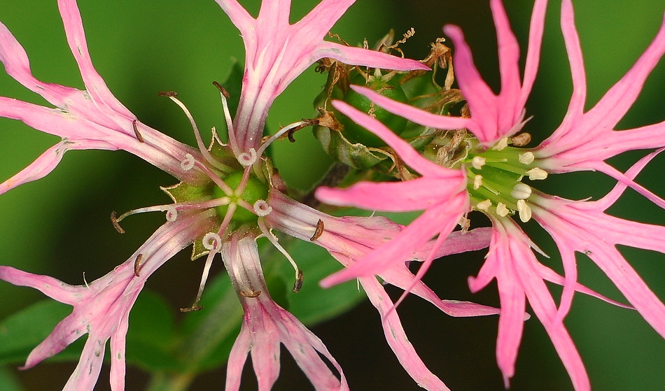 D30 1870f 090716 4016