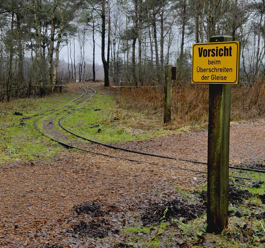 D30 7038a f:  Bahn im Tister Moor