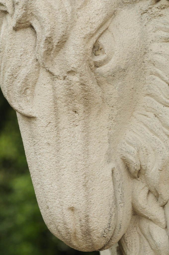 (D300; 90/2.8; MHX 0051cnxX)