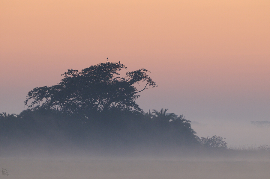 D300 DSC12440 NFF