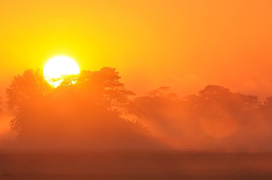 D300 DSC12467 NFF