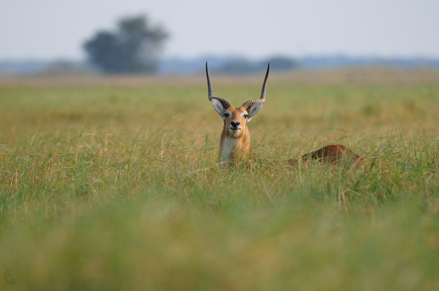 D300 DSC1549 NFF