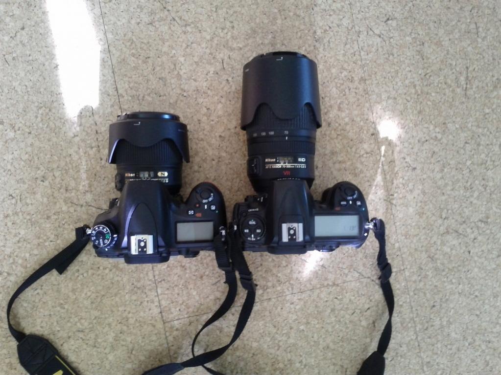 D300 vs D600