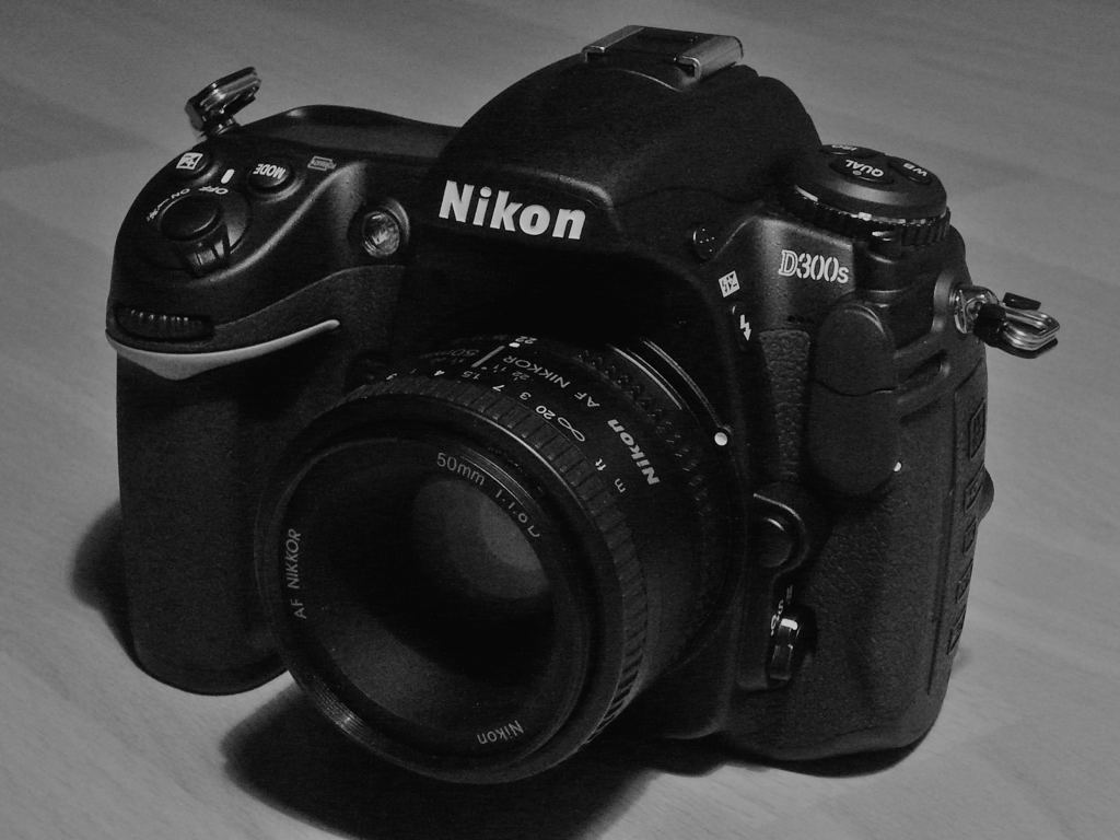 D300s