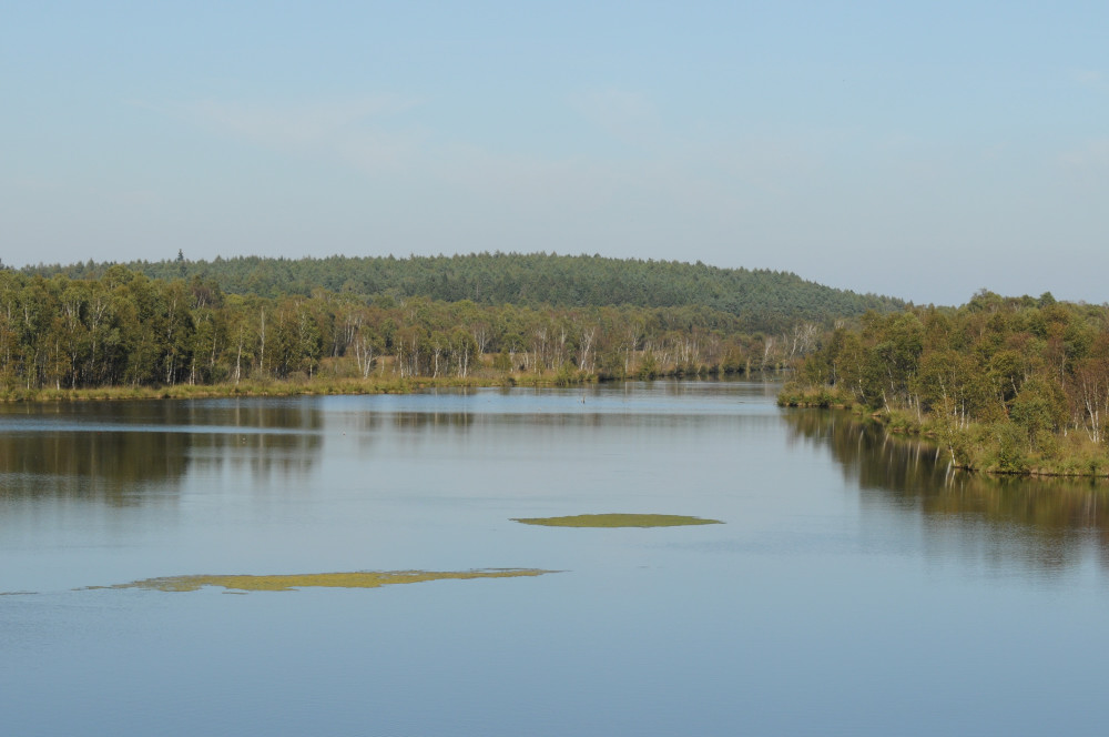 D31 0872