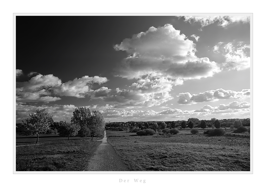D3C 7844bw nff