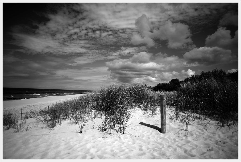 D3C0080sw