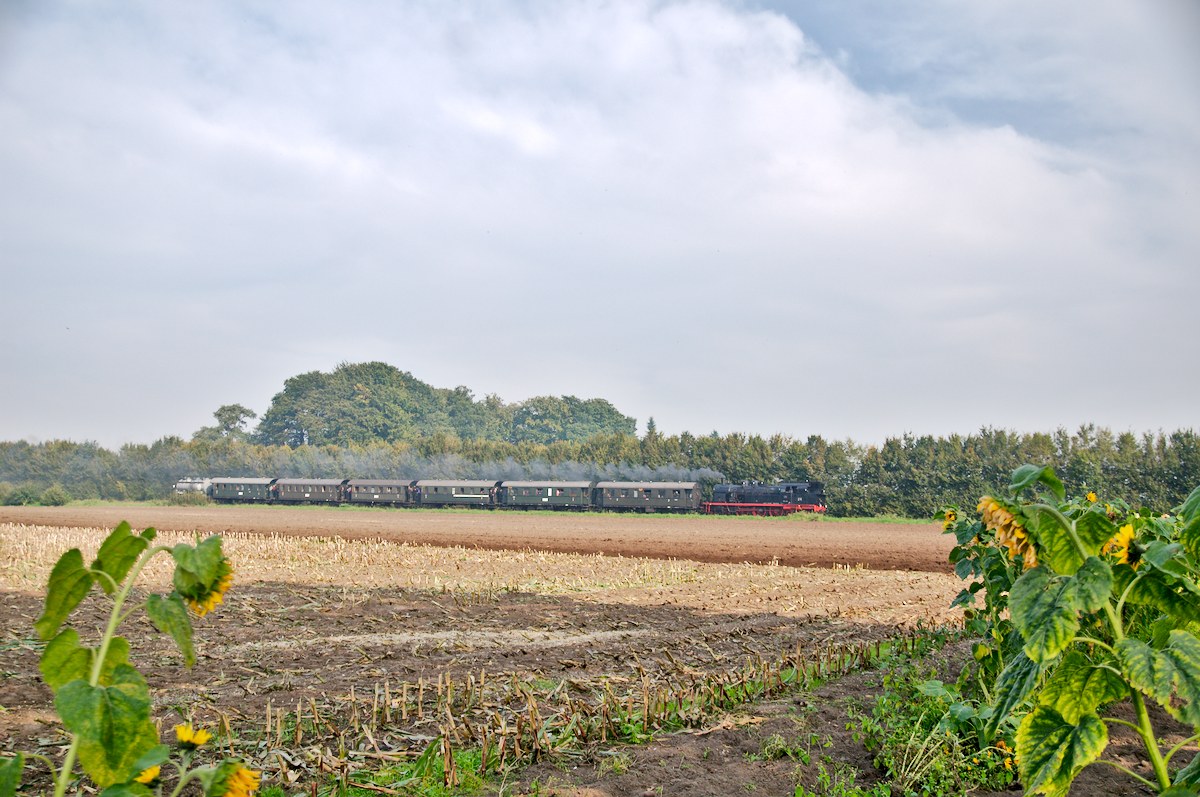 D3C_1607.jpg