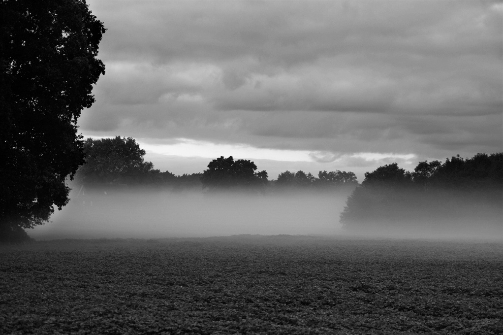 D3H 0148 web