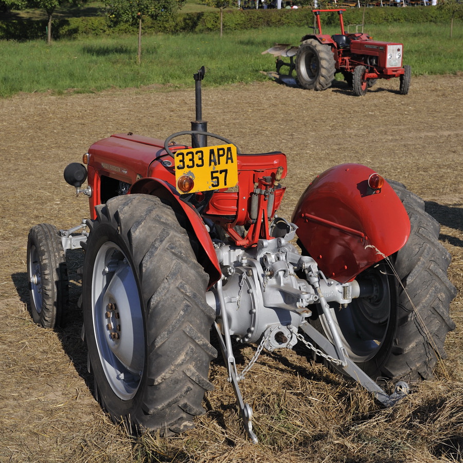 D3N8943x