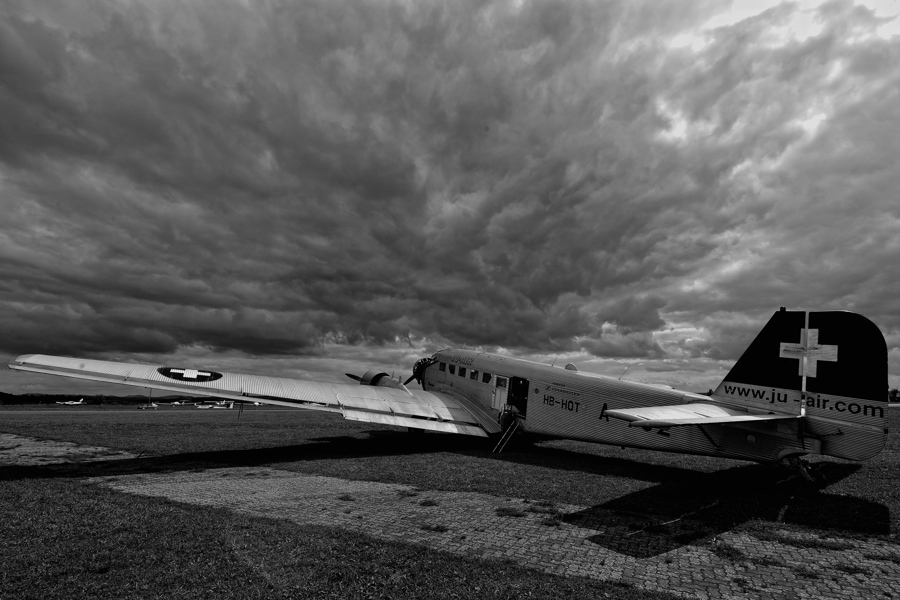D3P8118bw