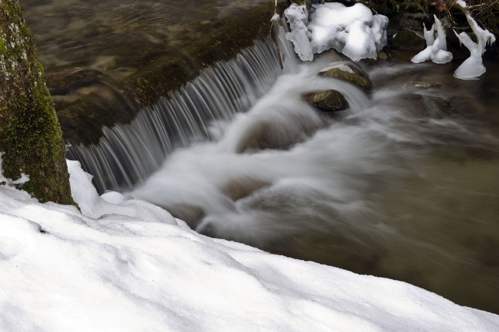 D3S - f22, 0,8s -5 Iso 100  55mm