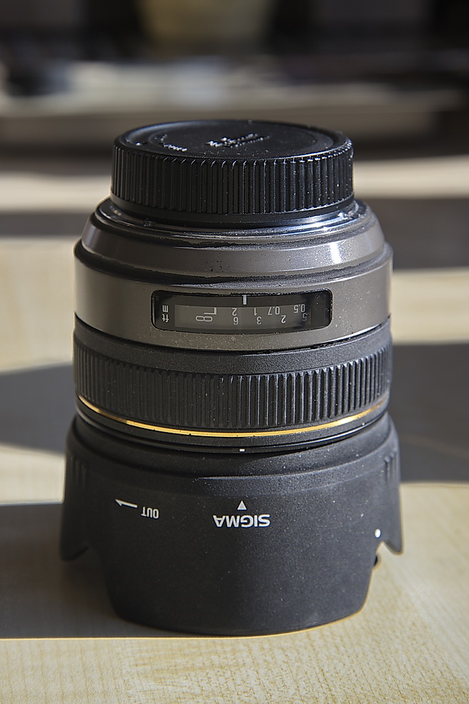 D3S0729