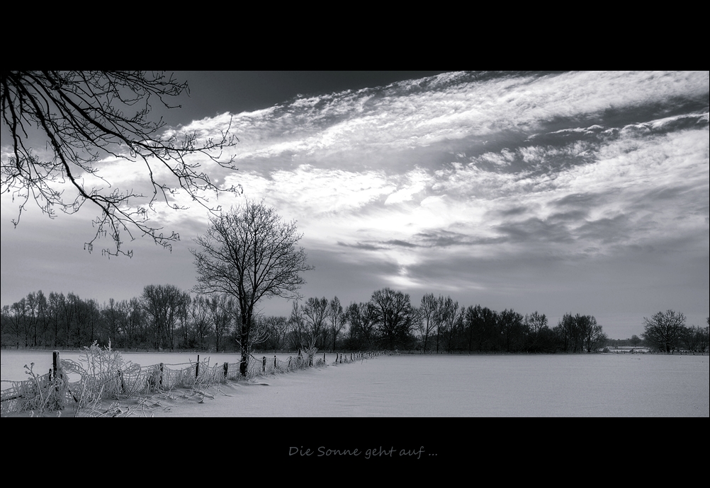 D4C 0538 sw