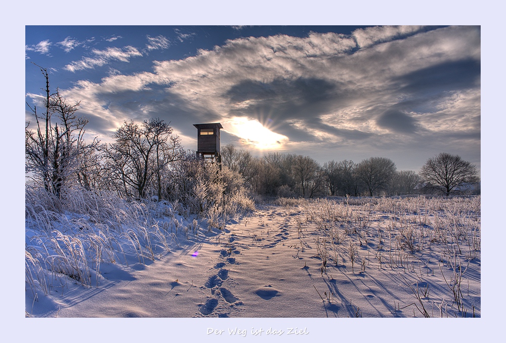 D4C 0572 3 4 tonemapped nff