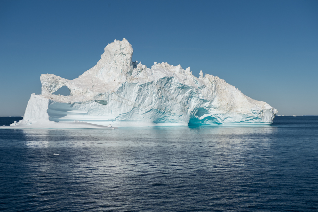 D4S_1317.jpg