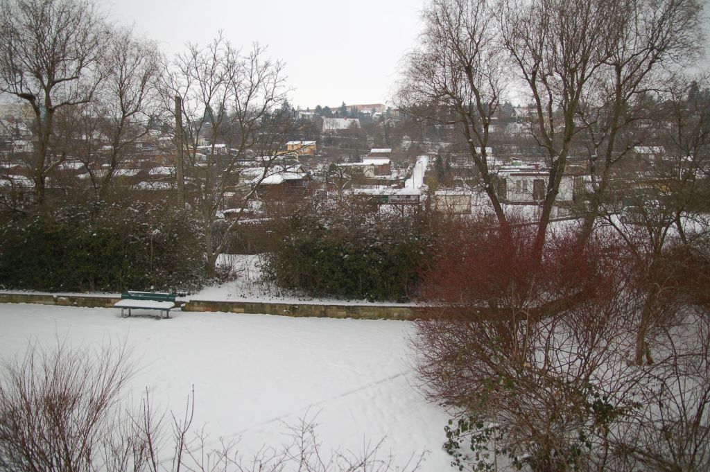D50 Balkon k