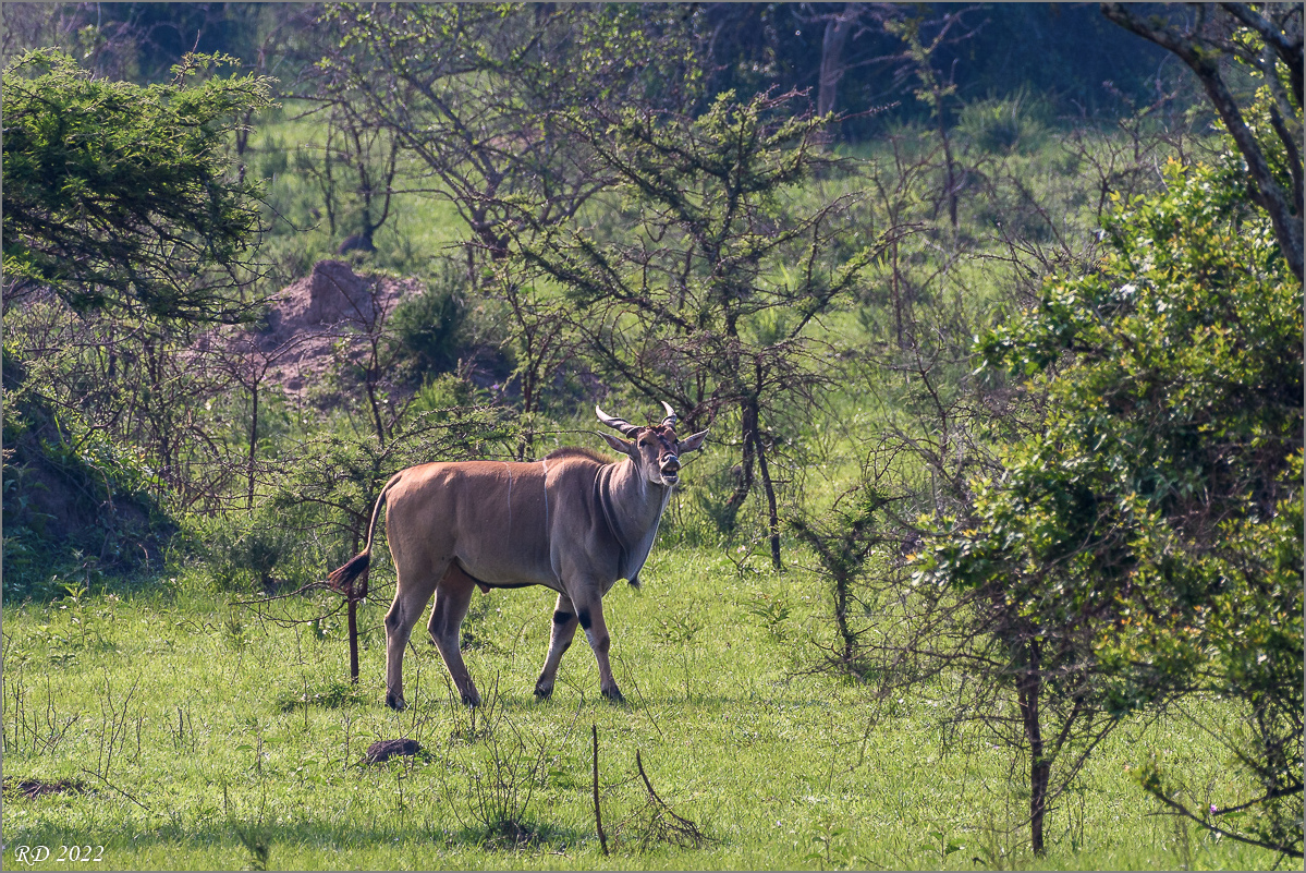 D50_0568.jpg