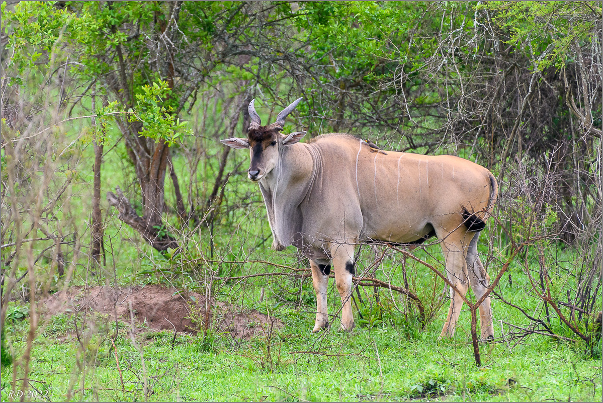 D50_1407.jpg