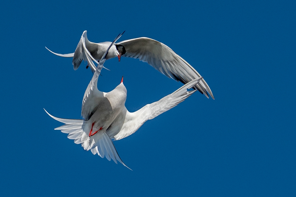 D50_1747_Umarmung IA_5_2019.jpg