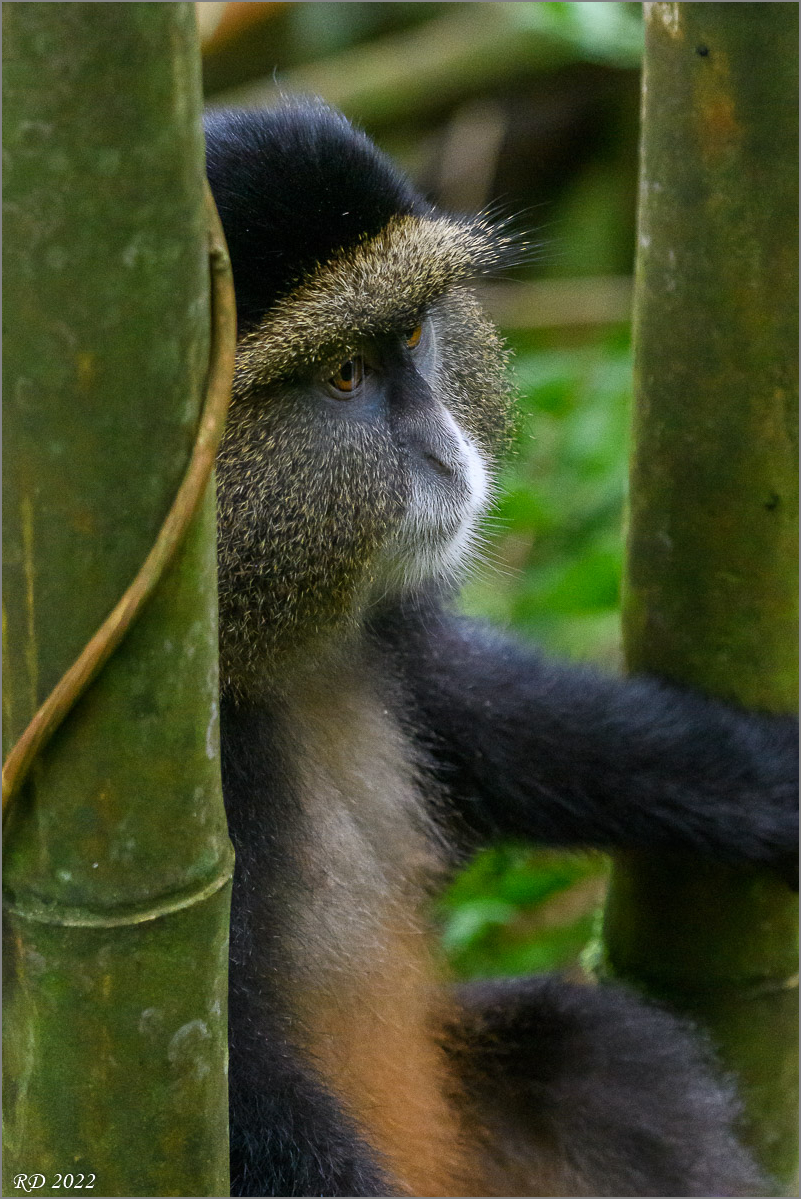 D50_2323.jpg