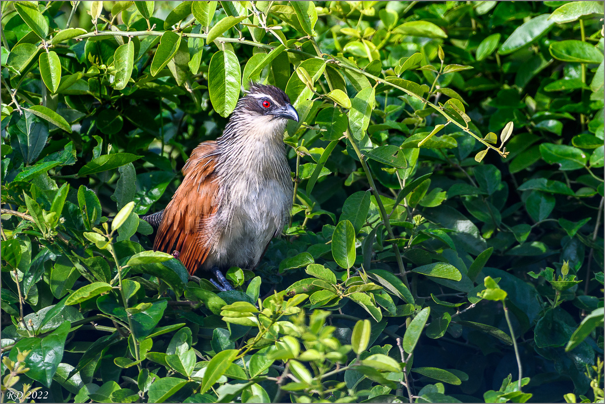 D50_2567.jpg