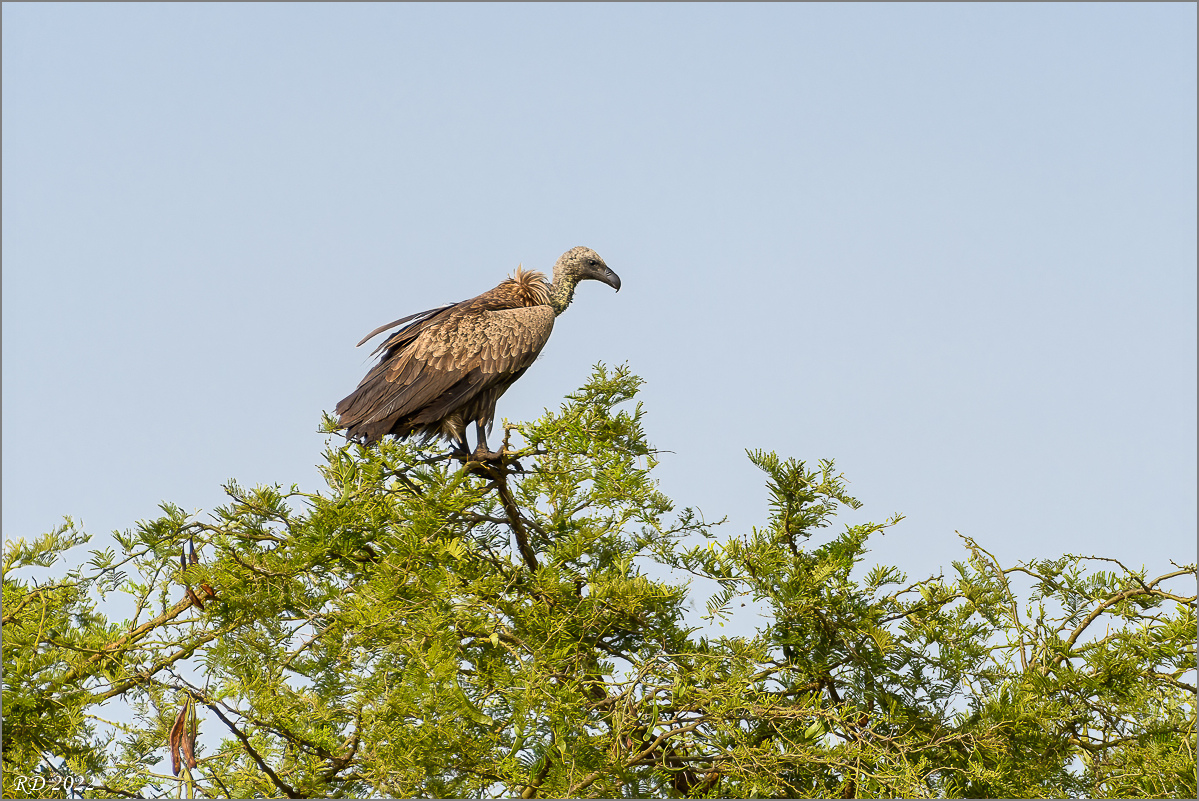 D50_2625-Bearbeitet.jpg