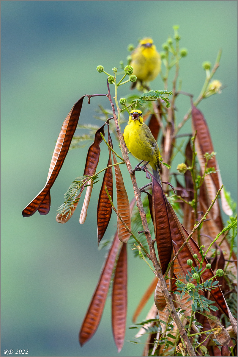 D50_3491.jpg