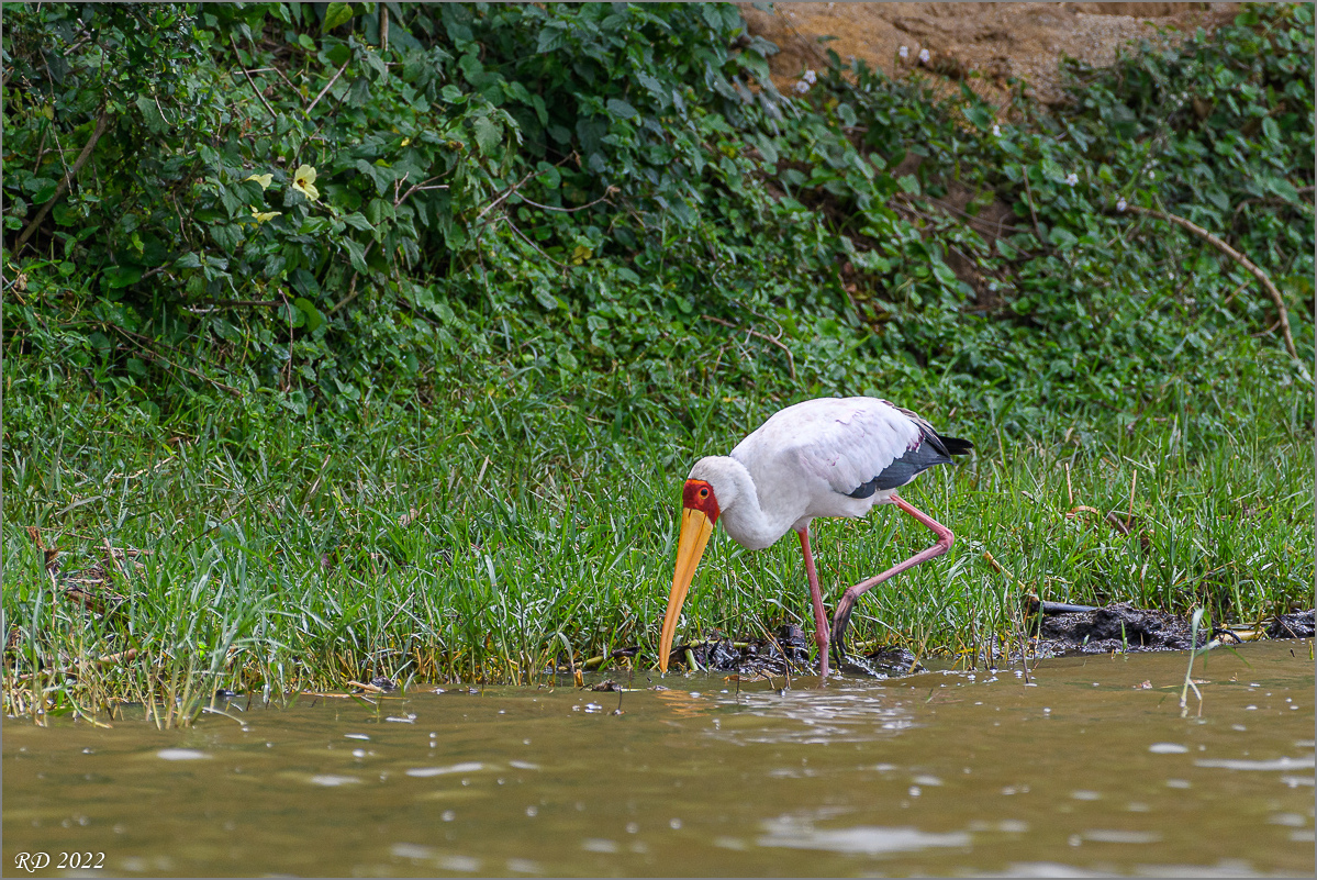 D50_3785.jpg