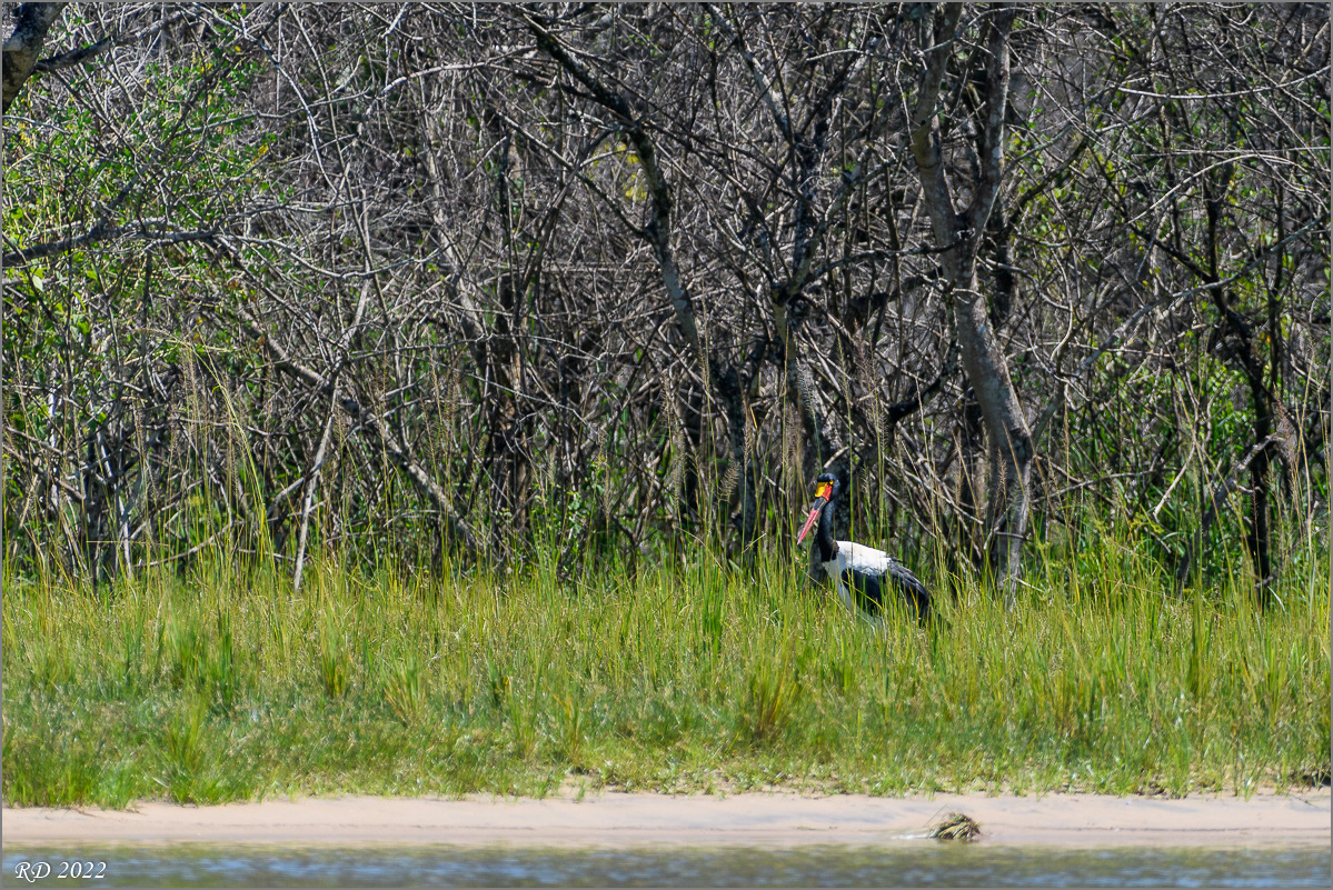 D50_4565.jpg