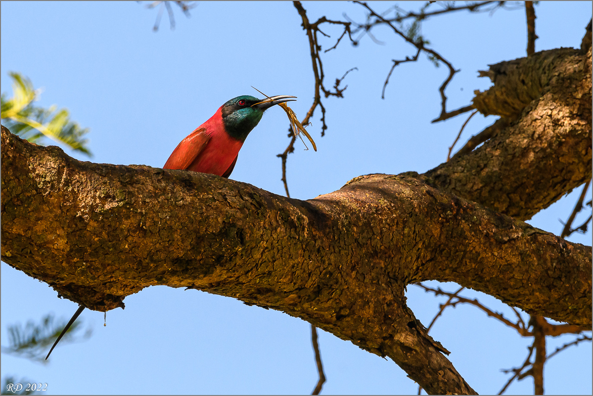 D50_4835.jpg