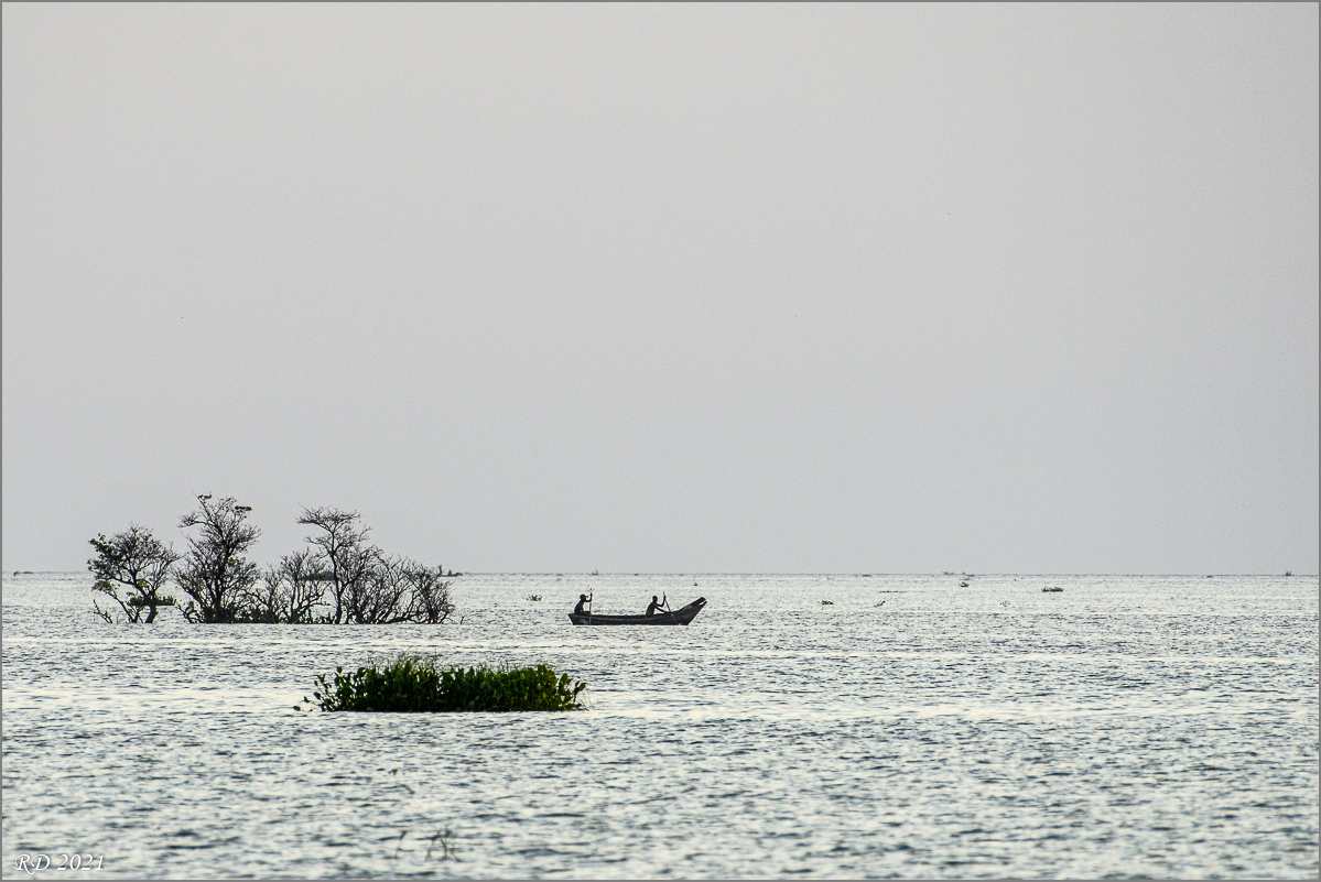 D50_4893.jpg