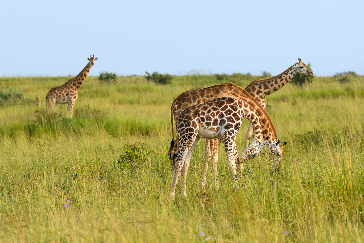 D50_5089.jpg