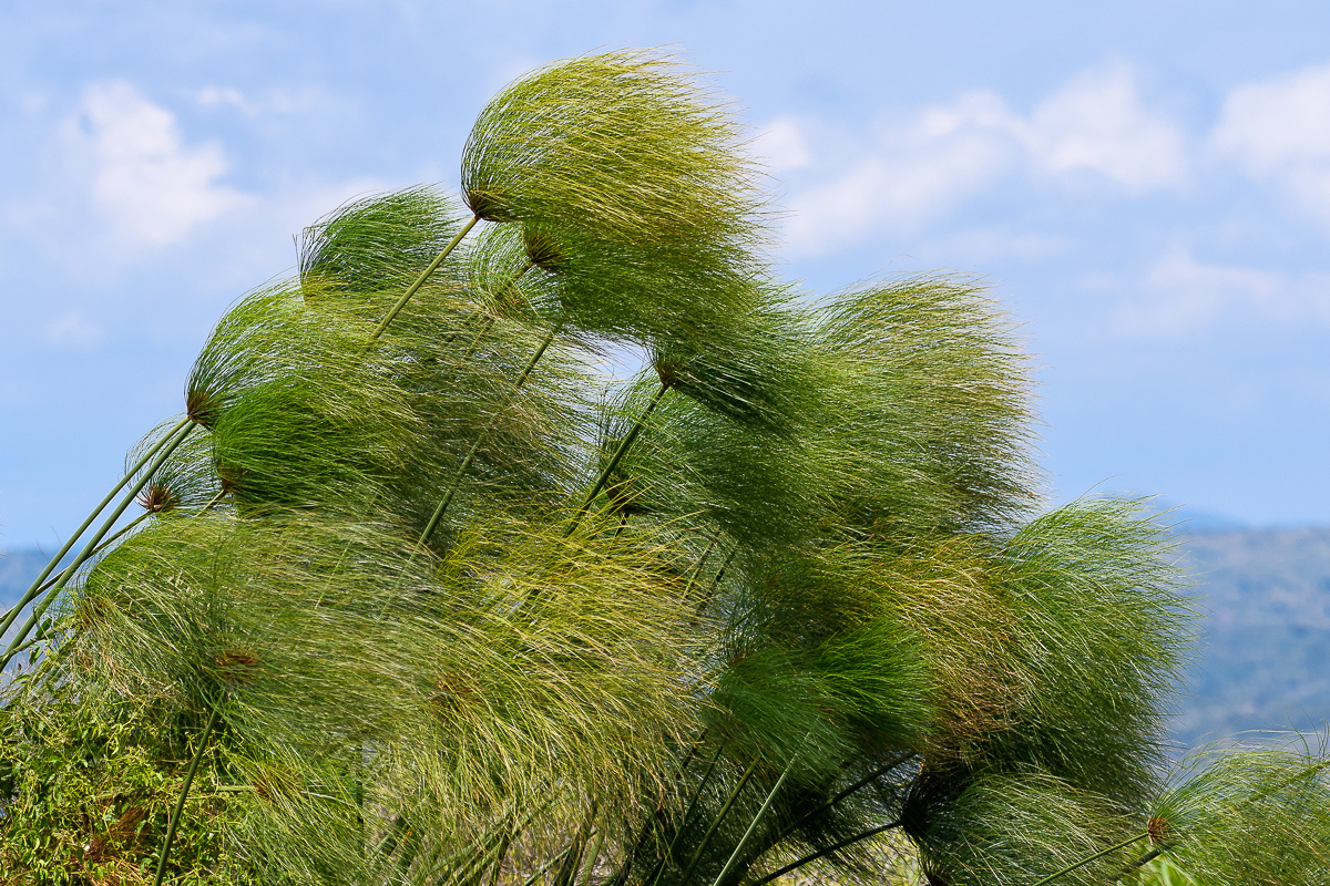 D50_5267.jpg