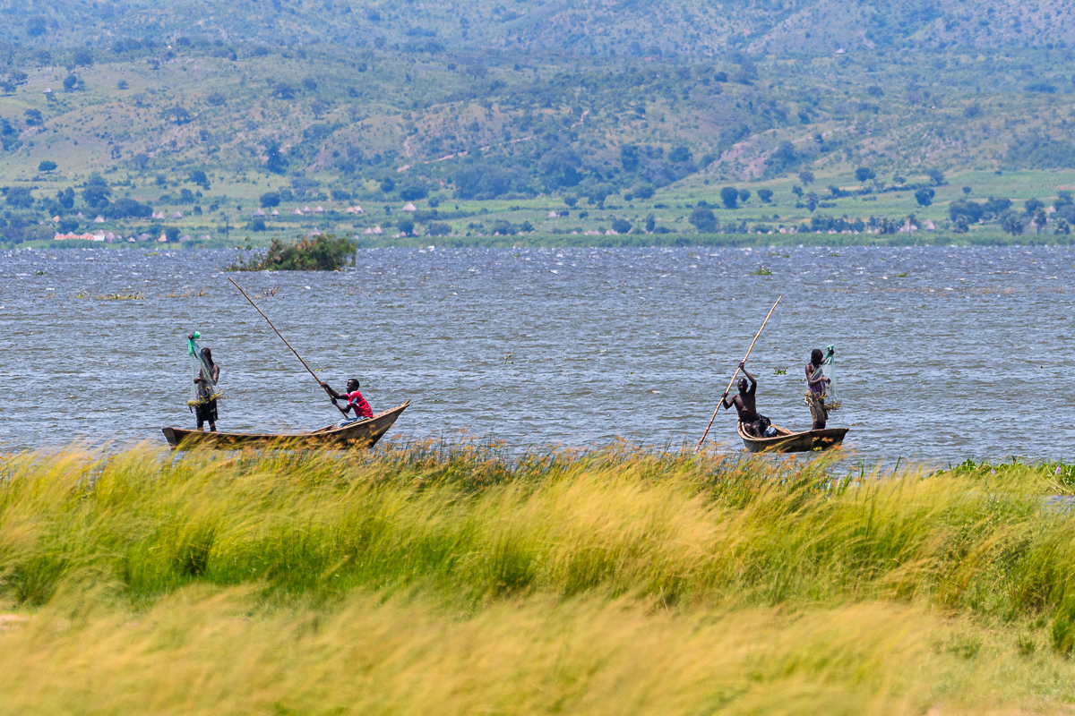 D50_5381.jpg