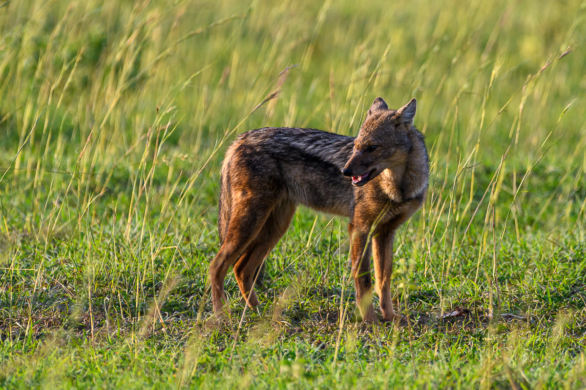 D50_5679.jpg