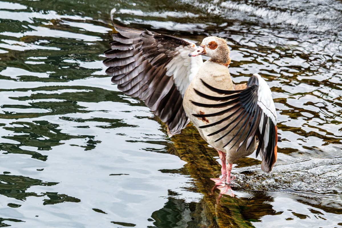 D50_5754-044.JPG