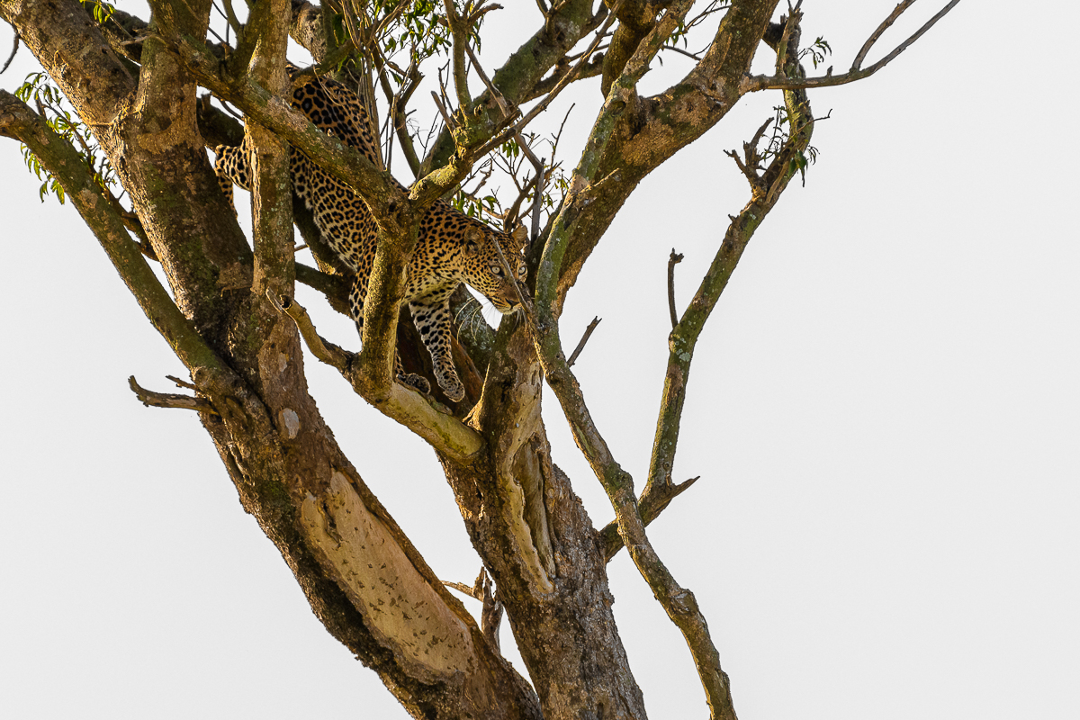 D50_5823.jpg