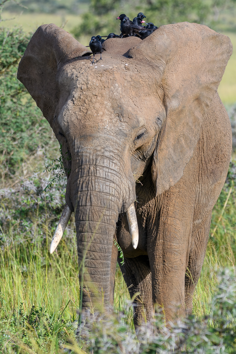 D50_5895-Bearbeitet.jpg