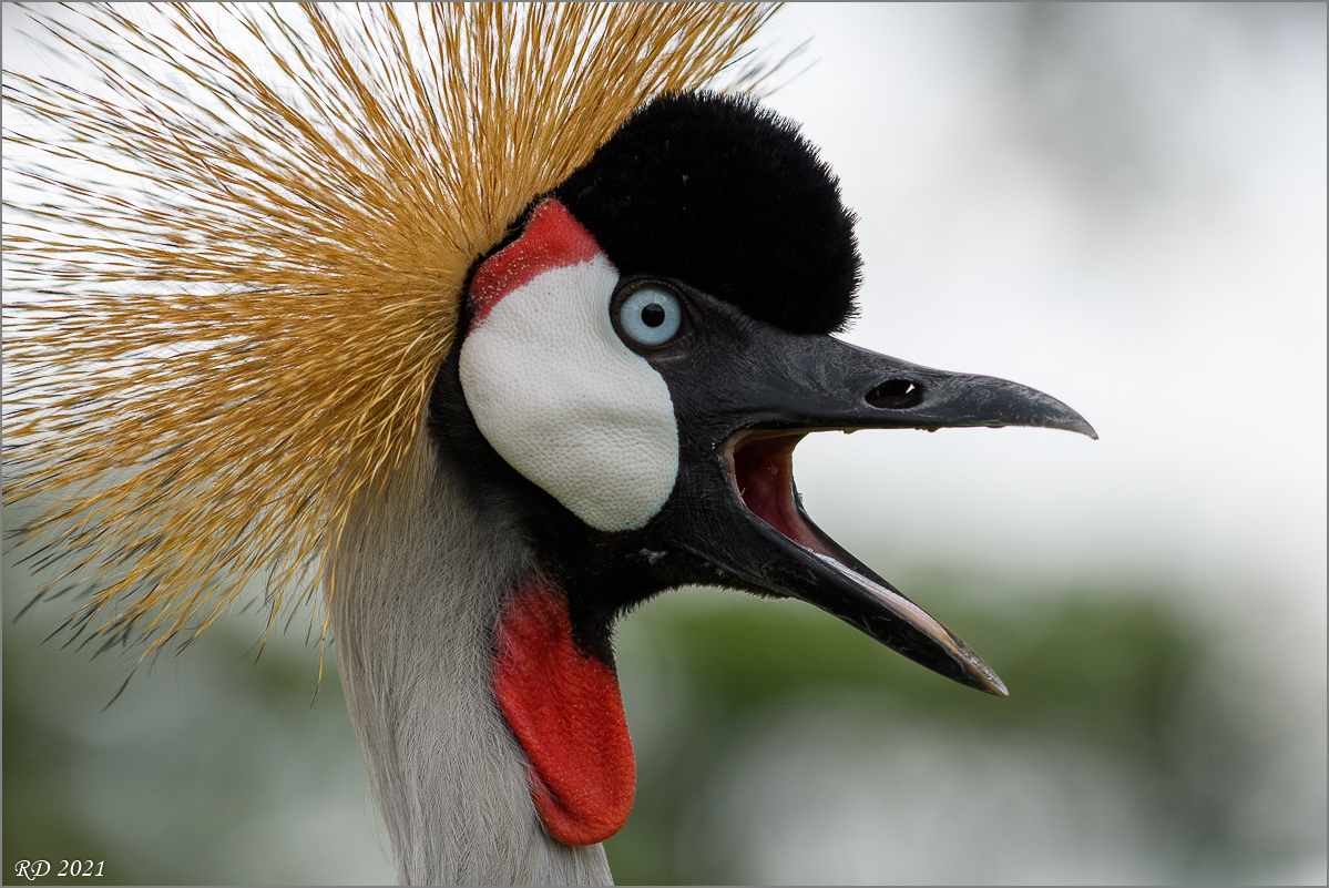 D50_5965.jpg