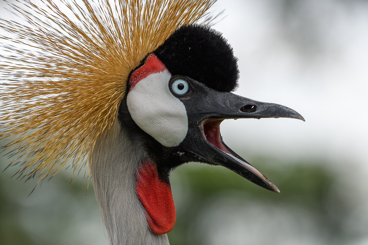 D50_5965.jpg