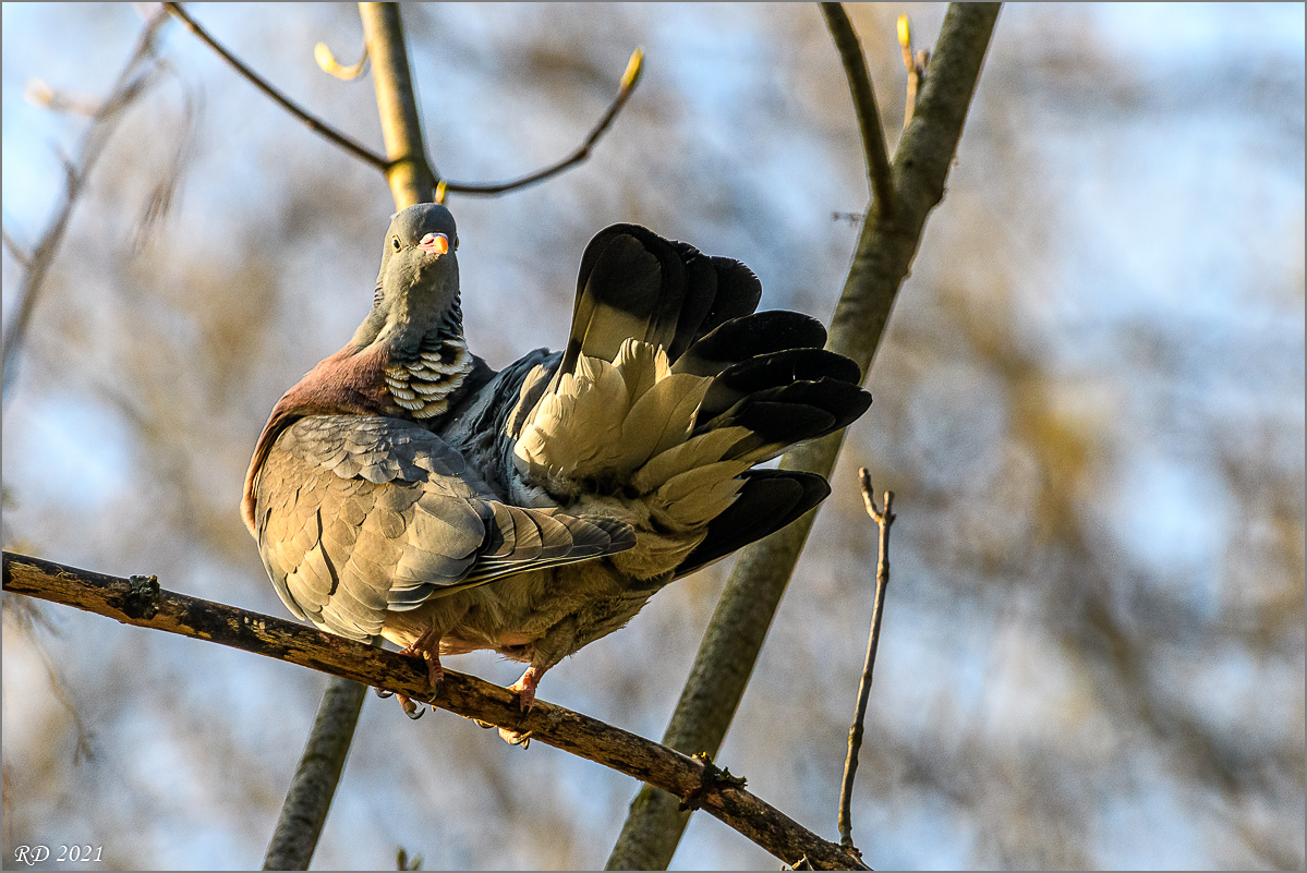 D50_7117-Bearbeitet.jpg