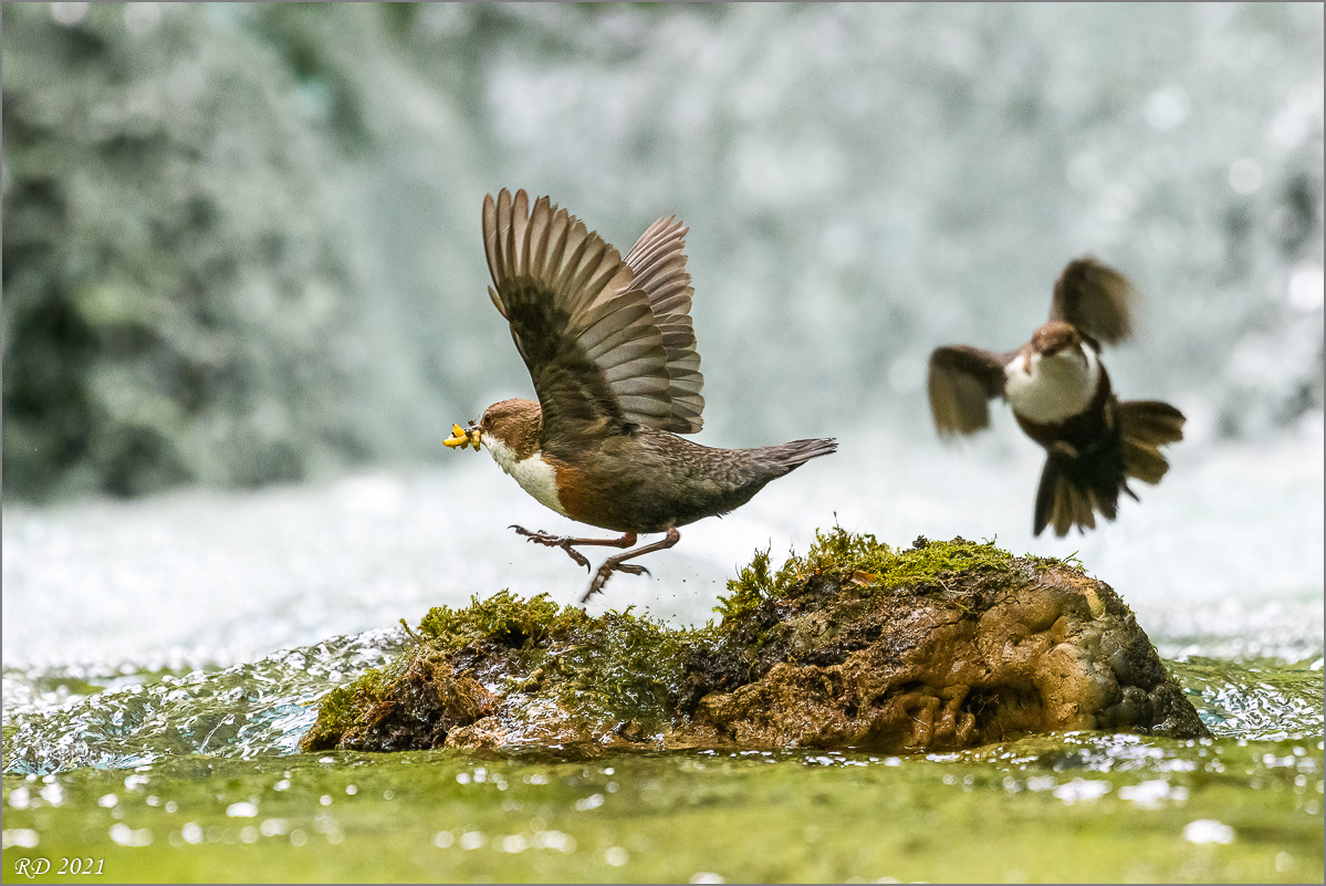 full