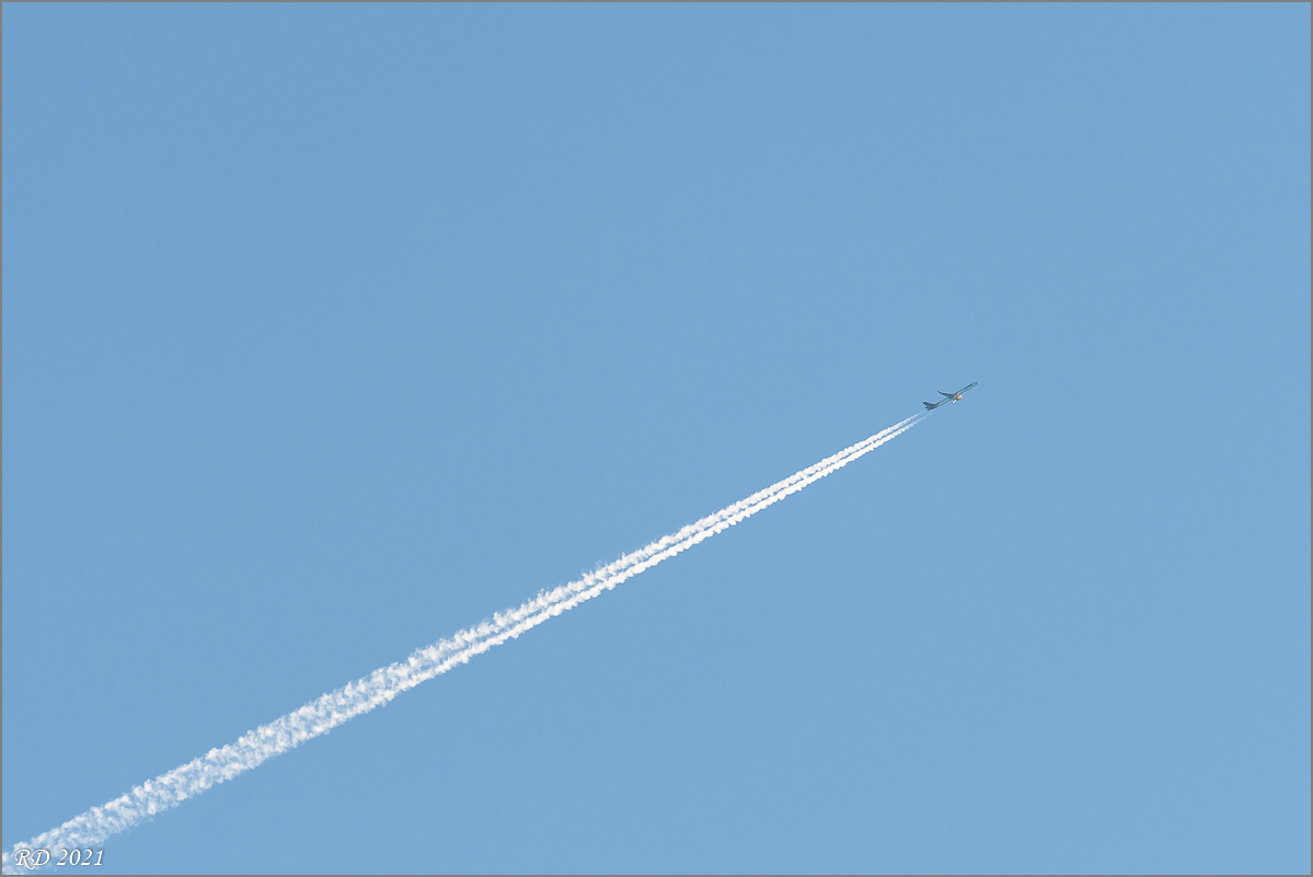 D50_8258.jpg