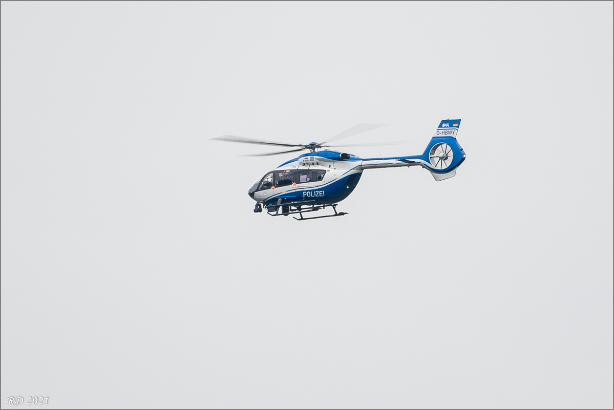 D50_8387.jpg